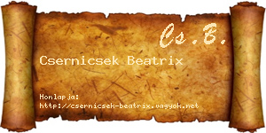Csernicsek Beatrix névjegykártya